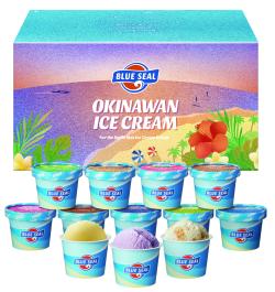 NEWブルーシール12※送料込み(県内)