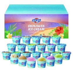 NEWブルーシール24※送料込み(県外)