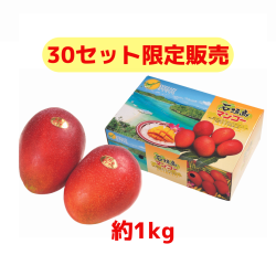 ※送料込み 石垣さんの完熟マンゴー約1kg