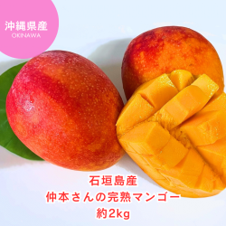 ※送料込み　仲本さんの完熟マンゴー約2kg