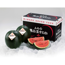 ※送料込み　ふらの黒小玉すいか優品2玉