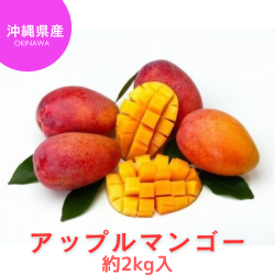 7/27まで！※送料込み 沖縄県産アップルマンゴー約2kg