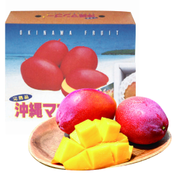 7/21まで！※送料込み　沖縄県産紅マンゴー(秀品)約1㎏