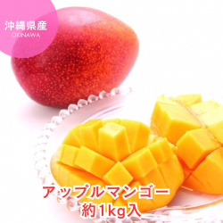7/27まで！※送料込み 沖縄県産アップルマンゴー約1kg