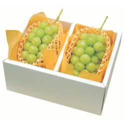 ※送料込み  お届け先が沖縄本島内　長野県産 貯蔵シャインマスカット約1㎏