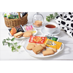 ※送料込み　ガレットセットWS-A