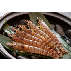 お届け先が沖縄本島内　活車えび特大300ｇ（八重瀬町産）